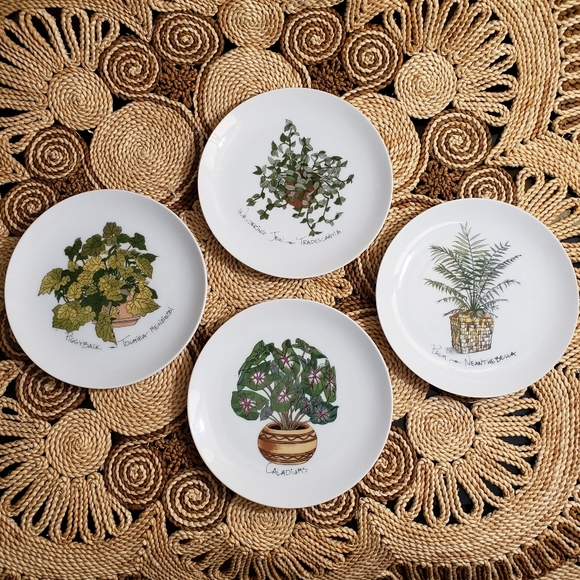 Enesco Other - Enesco | Vintage Plant Study 1975 houseplant plate